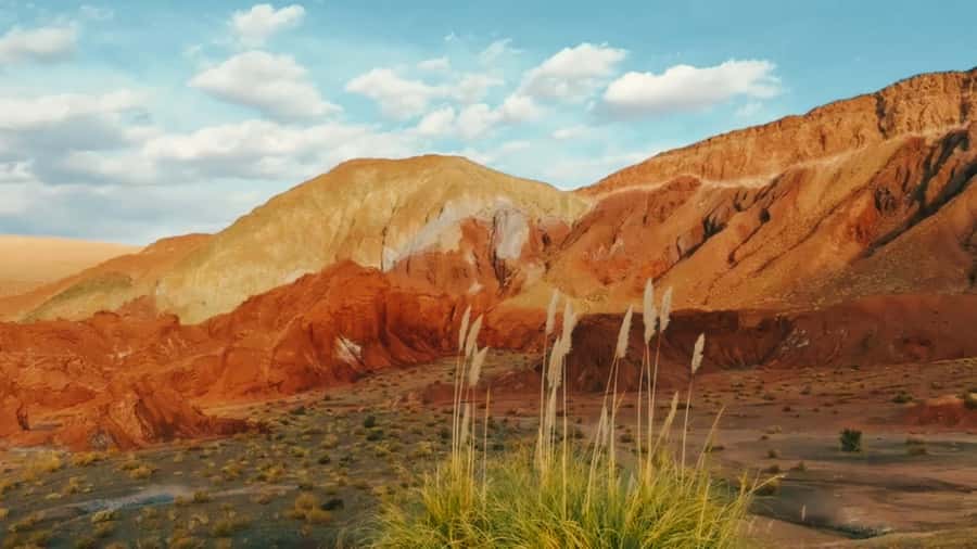 Rainbow Valley Tour: Mesmerizing Colors and Flavors - A walk with geology and old stories