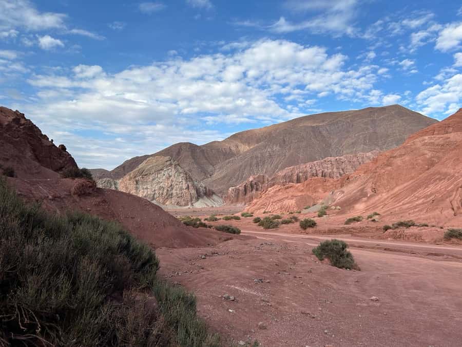 Rainbow Valley Tour + Petroglyphs (Yerbas Buenas) - The morning route from San Pedro to the valley
