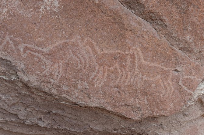 Rainbow Valley Tour, Yerbas Buenas Petroglyphs - Half Day Tour - Río Grande brings people into the picture