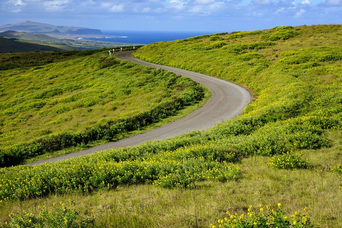 Rano Kau and Orongo: Half Day Private Tour - What the $250 price means