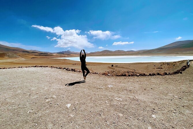 Red Stones + Altiplánica Lagoons - Piedras Rojas and the Salar de Talar