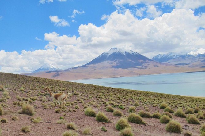 Red Stones - Altiplanicas - Chaxa - Piedras Rojas and the Salar de Aguas Calientes Sur