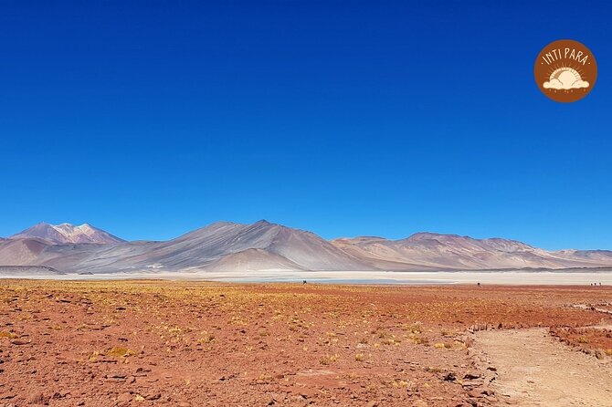Red Stones and Altiplanic Lagoons - Chaxa Lagoon and the wide Salar de Atacama
