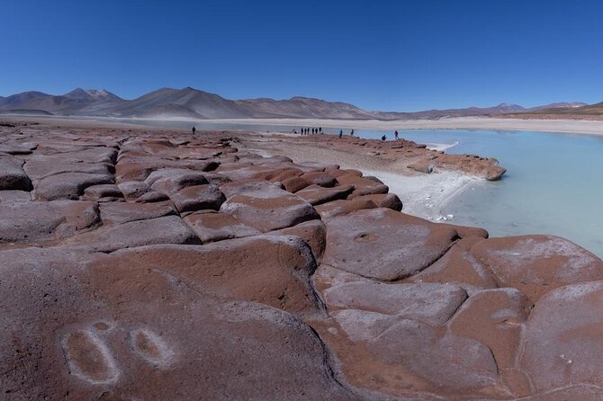 Red Stones and Altiplanica Lagoons Salar de Atacama - Laguna Chaxa and the flamingo reserve
