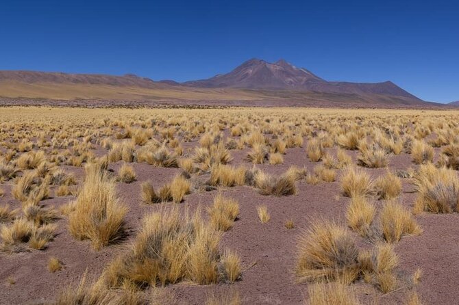 Red Stones and Altiplanica Lagoons Salar de Atacama - The altitude question