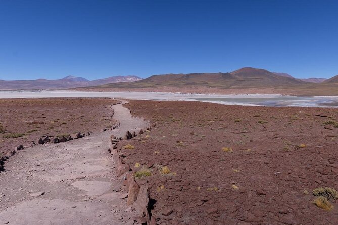 Red Stones and Altiplanica Lagoons Salar de Atacama - Guides, languages, and group atmosphere