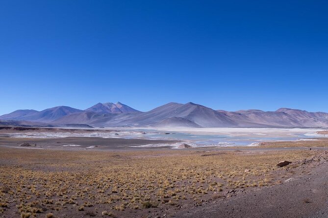Red Stones and Altiplanica Lagoons Salar de Atacama - Piedras Rojas and the Salar de Talar