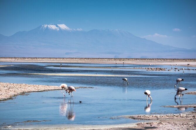 Red Stones and High Plains Tour from San Pedro - Key points to know before booking