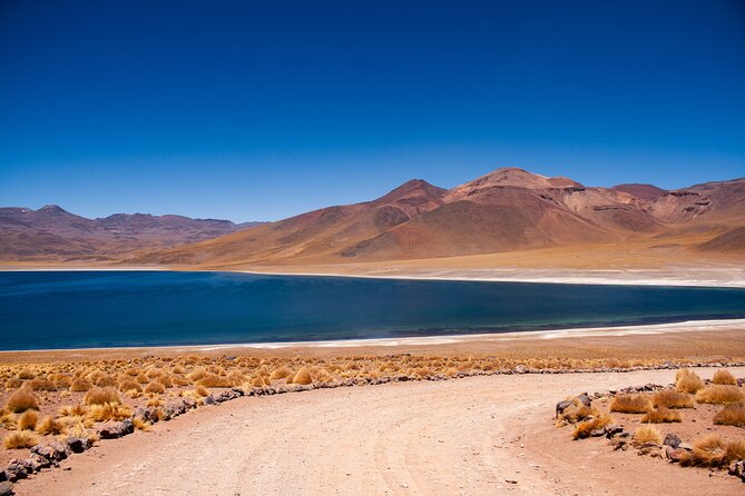Red Stones and High Plains Tour from San Pedro - Miscanti and Miñiques above 4,000 meters