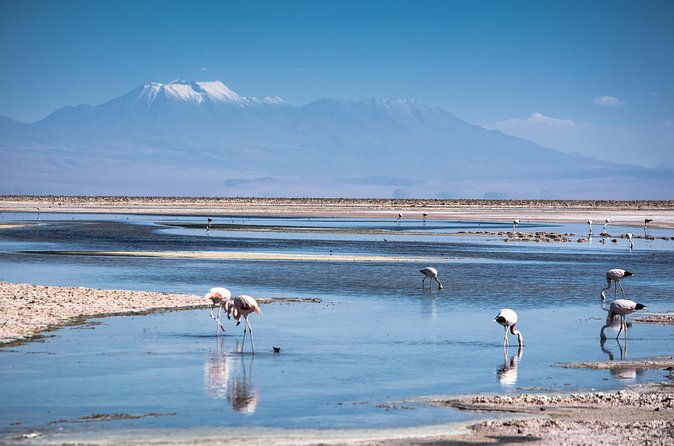 Red Stones and High Plains Tour from San Pedro - Guides, drivers, and the human side of the day