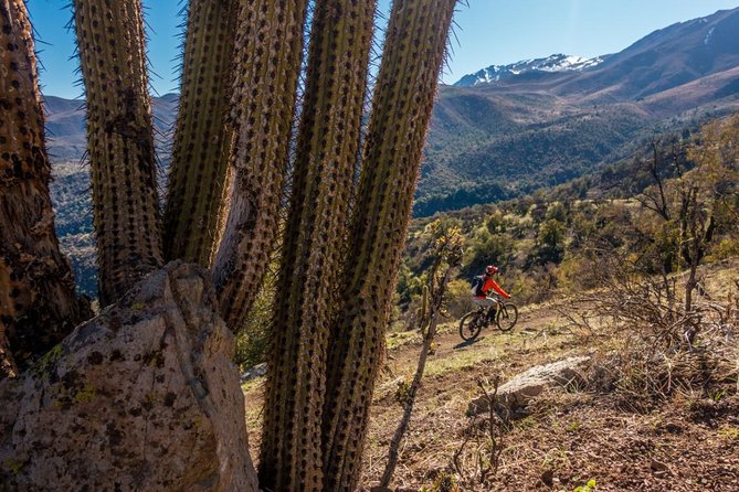 Rent an Electric Mountain Bike in Santiago to ride in a Bike Park - From Santiago streets to the foot of the Andes