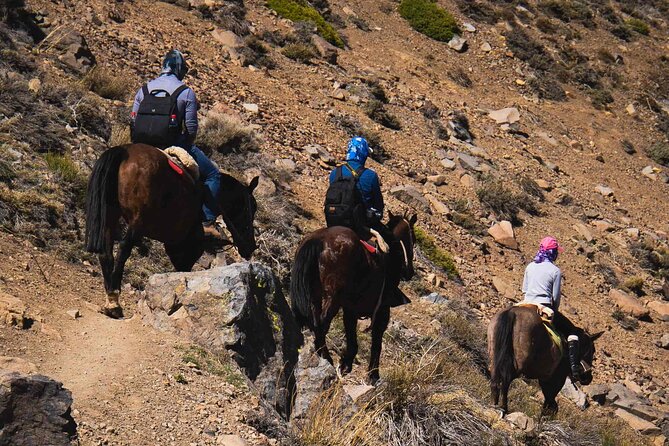 Ride in the semi-private Andes with roast - What you see above the valley