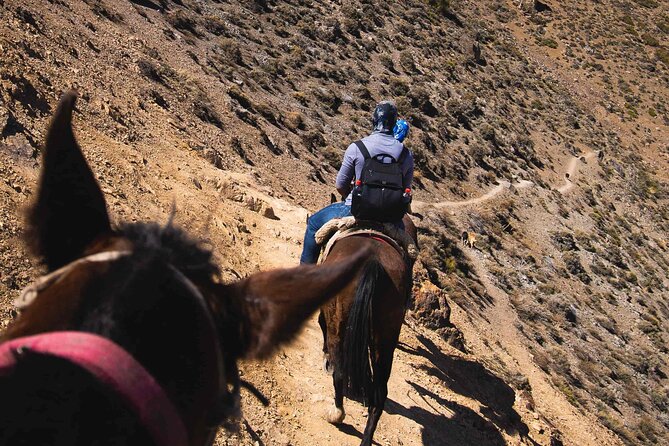 Ride in the semi-private Andes with roast - The one-hour return to Villa Paulina