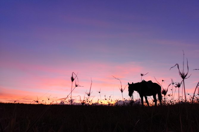 Ride to the highest point on the island for sunset - From the meeting point to the Vaitea ranch