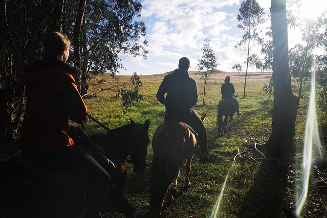 Ride to the highest point on the island for sunset - Open meadows, high views, and changing light