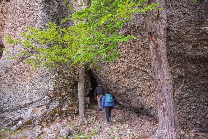 Rock Painting Cerro Benitez: Hike to Ancient Art - Why this five-hour outing is worth your morning