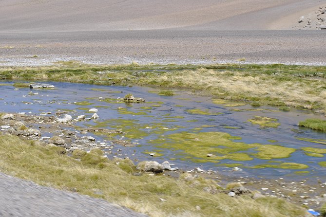 Route of the Andean salt flats - Salt flats near the Bolivian border area