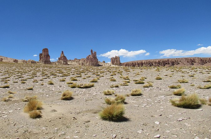 Route of the Andean salt flats - Breakfast and a cold lunch make the price easier to justify
