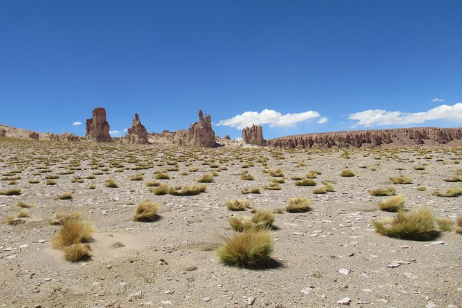 Route of the Andean salt flats - The guide can make the remote scenery meaningful