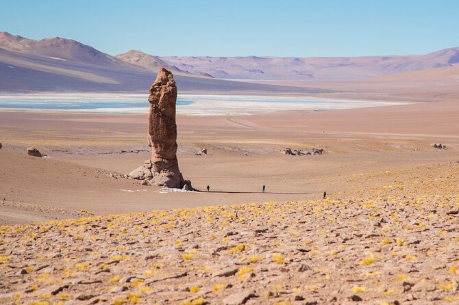 Route of the Salars and Monks of the Pacana - Wetlands and wildlife at Vegas de Quepiaco