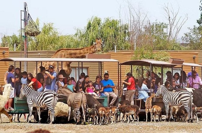 Safari Park - Barbara and Robinson make the difference