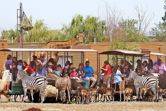 Safari Park - Is $94 a fair price?