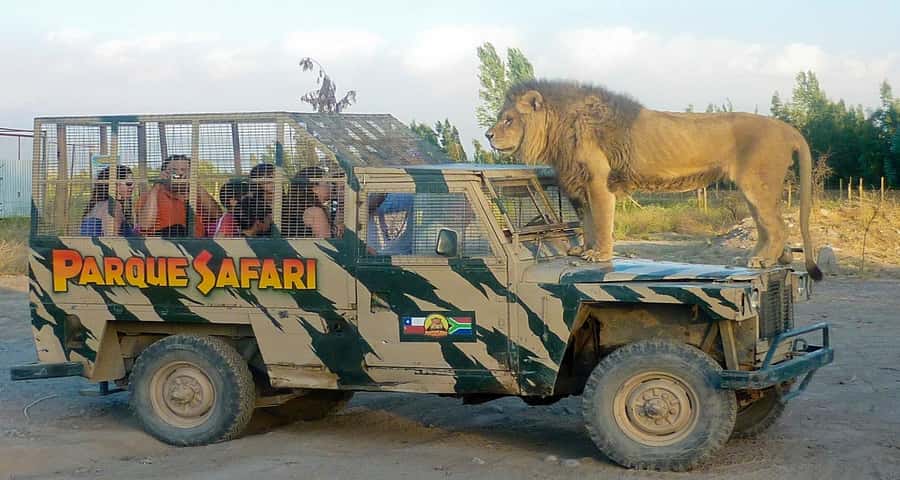 SAFARI PARK-TOUR RANCAGUA : CHILE - Arriving at Rancagua Safari Park