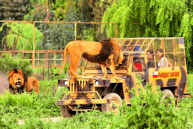Safari Park, Wild Experience - The Jurassic Safari and its playful tone