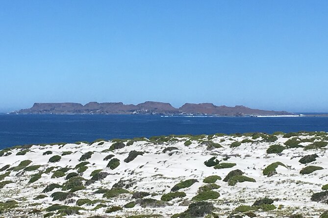 Sailing and Hiking Isla Damas : Humboldt Penguin Reserve - Key points to know before booking