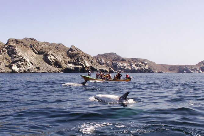 Sailing and Hiking Isla Damas : Humboldt Penguin Reserve - Isla Damas, landing rules, and bird flu
