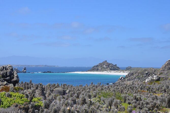Sailing and Hiking Isla Damas : Humboldt Penguin Reserve - Lunch in Punta Choros