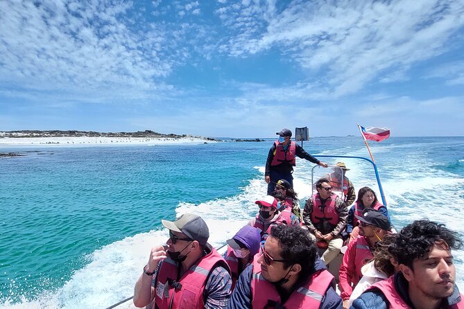 Sailing and Hiking Isla Damas : Humboldt Penguin Reserve - Pueblo Los Choros and the Quebrada de Los Choros