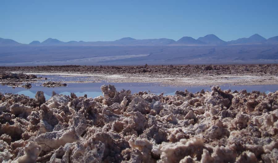 Salar de Atacama and altiplanic lagoons - Key Points To Know