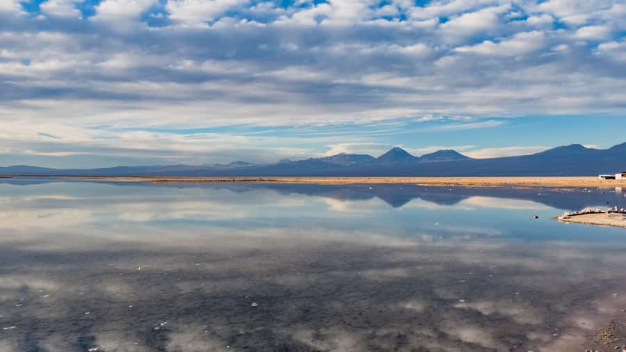 Salar de Atacama and altiplanic lagoons - Setting Out From San Pedro Between 6:30 and 7:00 AM