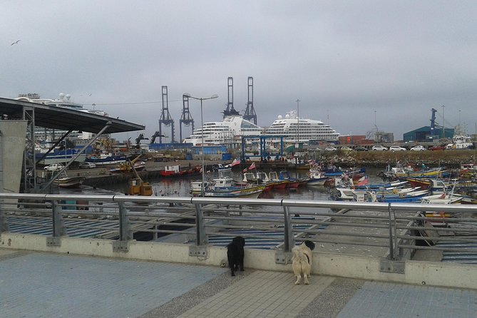 San Antonio Port to Santiago Airport or Hotel Private Transfer - Leaving San Antonio Cruise Port without the usual scramble
