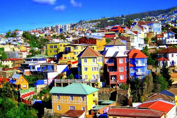 San Antonio to Valparaiso Private Tour with Santiago Drop Off - Reñaca Beach and the sea lions