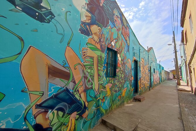 San Antonio to Valparaiso Private Tour with Santiago Drop Off - Valparaiso’s hills, murals, and port history