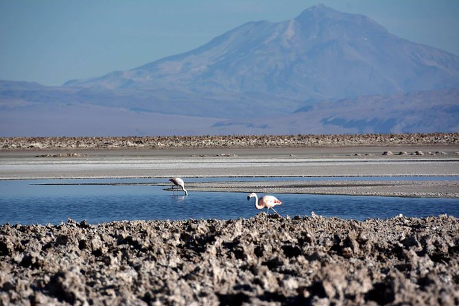 San Pedro de Atacama: 4-Days Magic Desert Adventure - The missing pieces in the schedule