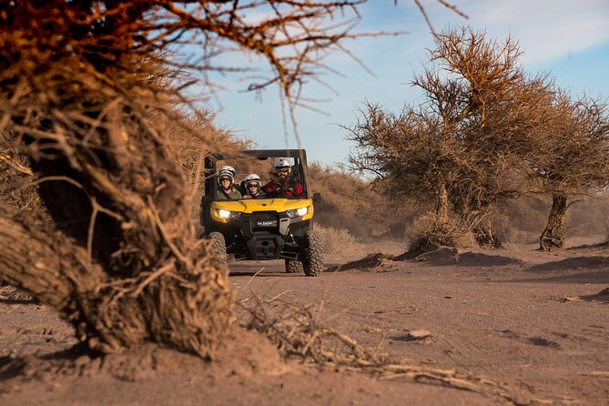 San Pedro de Atacama Buggy Adventure - Who will enjoy this Atacama outing most