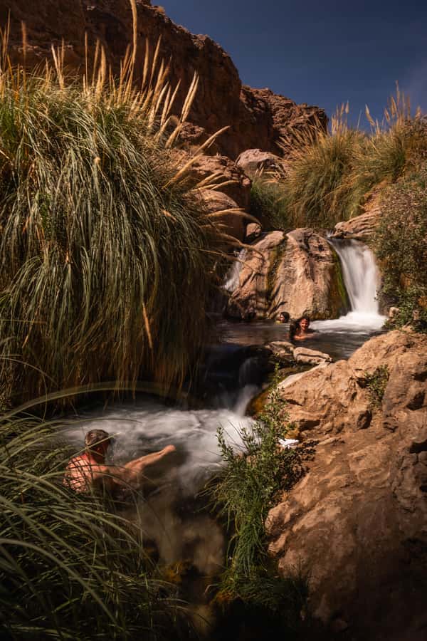 San Pedro de Atacama: Canyon Swimming Pools Trekking Trip - Desert plants, cacti, and canyon scenery