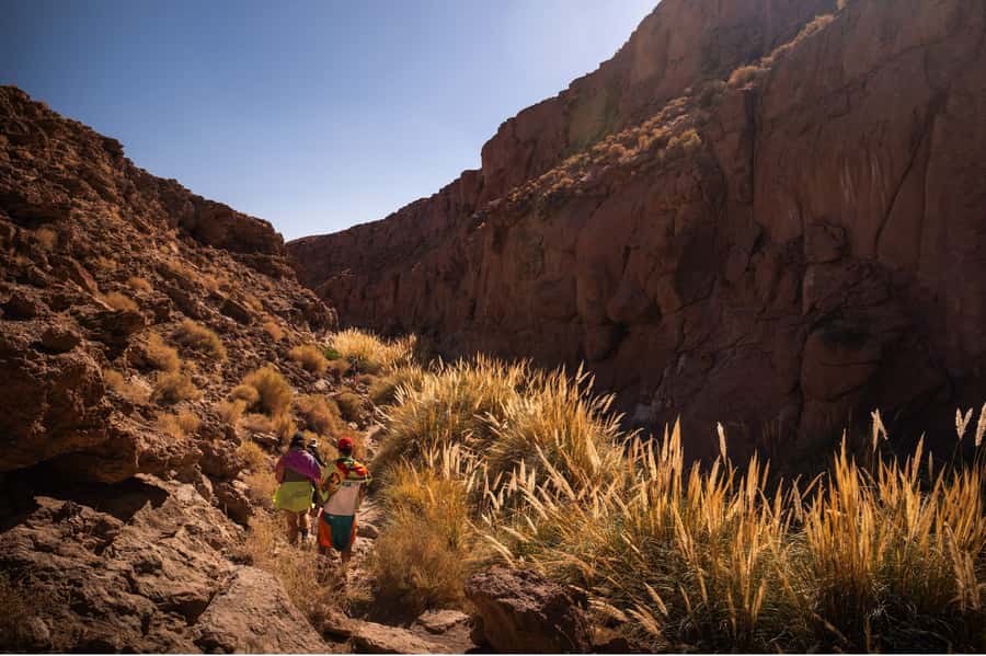 San Pedro de Atacama: Canyon Swimming Pools Trekking Trip - Reaching the Purilibre natural pools