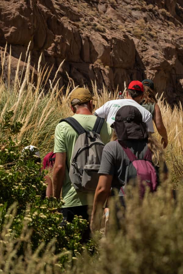 San Pedro de Atacama: Canyon Swimming Pools Trekking Trip - The 40-minute walk into the canyon