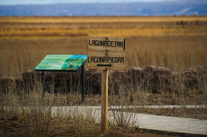 San Pedro de Atacama Cejar Lagoon - Laguna de Piedras and the art of floating