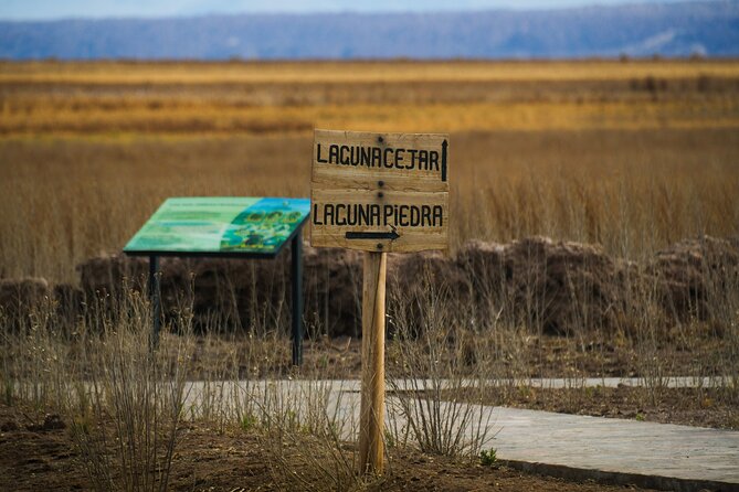 San Pedro de Atacama Cejar Lagoon - The cocktail and the final return to San Pedro