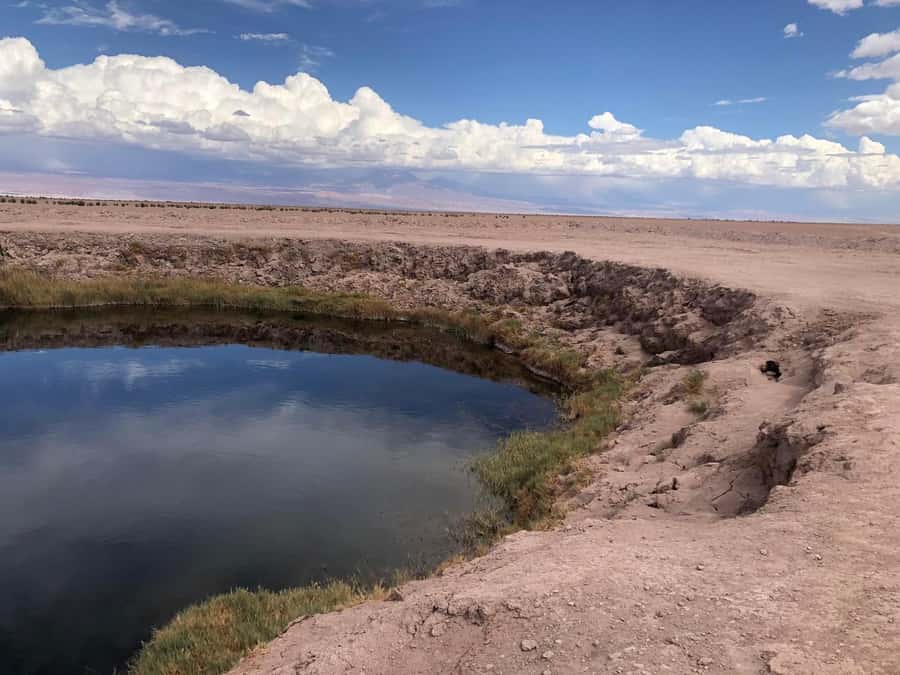 San Pedro de Atacama: Cejar Lagoon, Tebenquiche & Ojos Salar - Why these salt lagoons are worth your afternoon