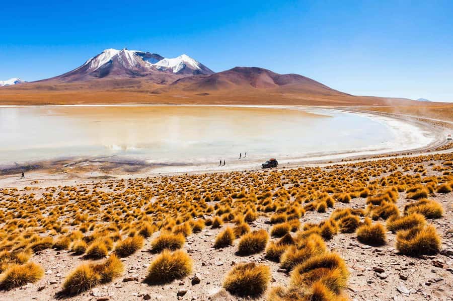 San Pedro de Atacama Day Trip: Atacama Desert and Salt Flats - Key Points Before You Book