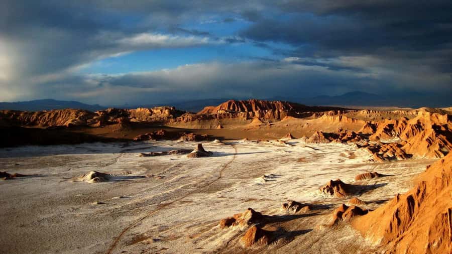 San Pedro de Atacama Day Trip: Atacama Desert and Salt Flats - Vicuñas, Flamingos, and the Value of a Wildlife Stop