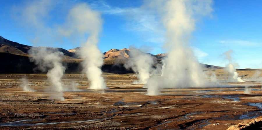 San Pedro de Atacama: El Tatio Geysers & Machuca Lagoon Trip - Machuca Lagoon and its highland birds