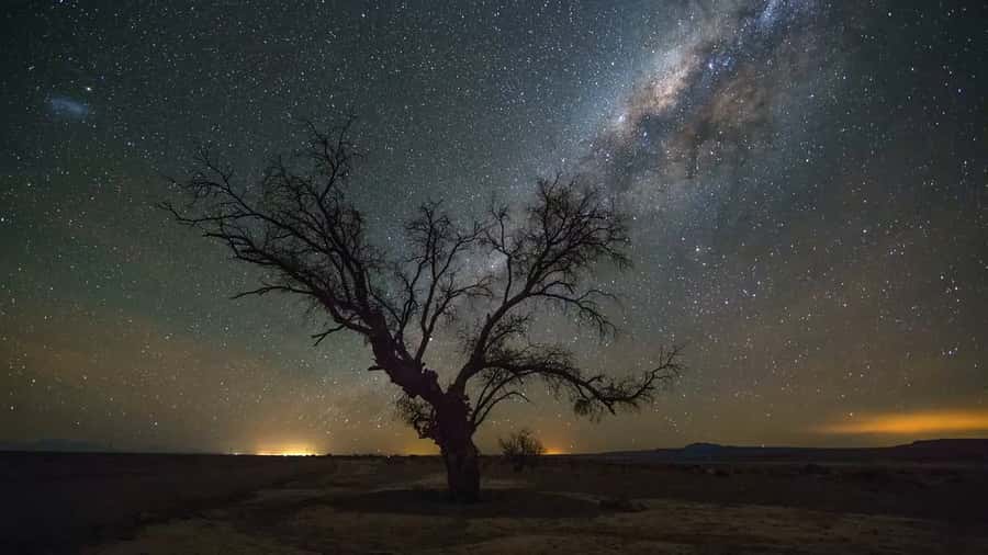 San Pedro de Atacama: Guided Atacama Desert Stargazing Tour - Key points at a glance