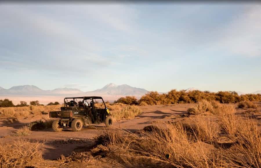 San Pedro de Atacama: Guided Buggy Tour Through the Desert - Why JP matters so much to the experience